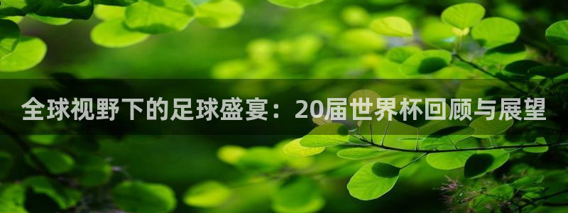 世界杯预选赛欧洲赛区积分榜：全球视野下的足球盛宴：20届世界杯回顾与展望