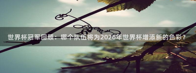 2026世界杯小组赛赛程时间表：世界杯冠军回顾：哪个队伍将为2026年世界杯增添新的色彩？