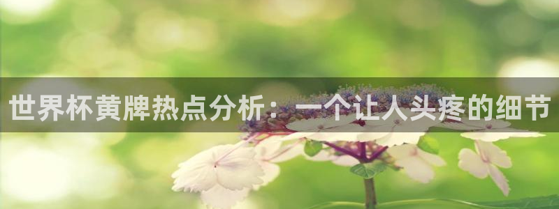 足球世界杯：世界杯黄牌热点分析：一个让人头疼的细节