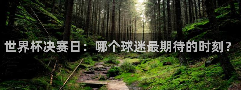 2026足球世界杯：世界杯决赛日：哪个球迷最期待的时刻？