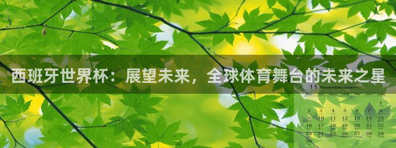 2026年足球世界杯赛程时间表：西班牙世界杯：展望未来，全球体育舞台的未来之星